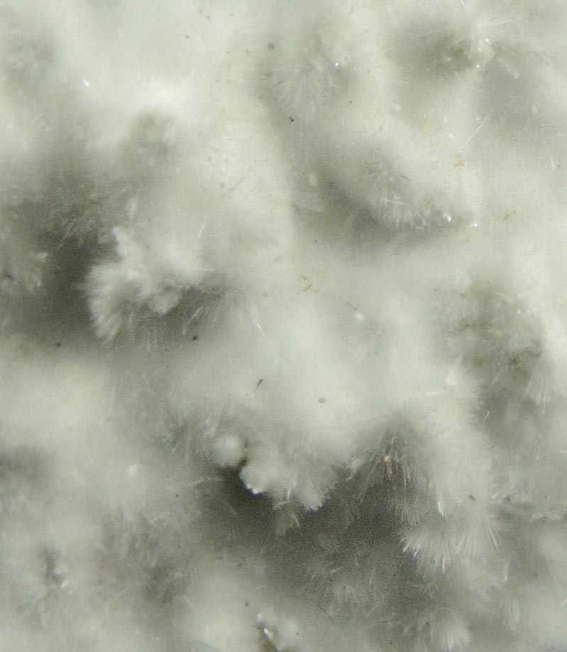 Detail view of mineral Artinite for sale from Spring Street at Medford Road, Staten Island, New York City, Richmond County, New York