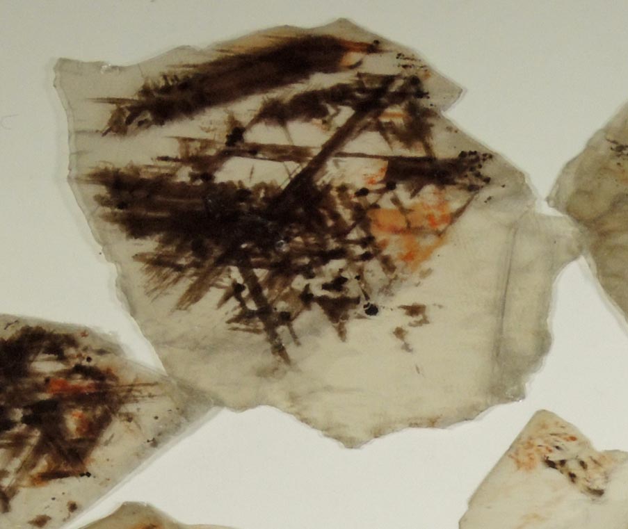 Detail view of mineral Muscovite with oriented magnetite, rutile, hematite inclusions for sale from 93rd Street at Riverside Drive, Manhattan Island, New York City, New York County, New York