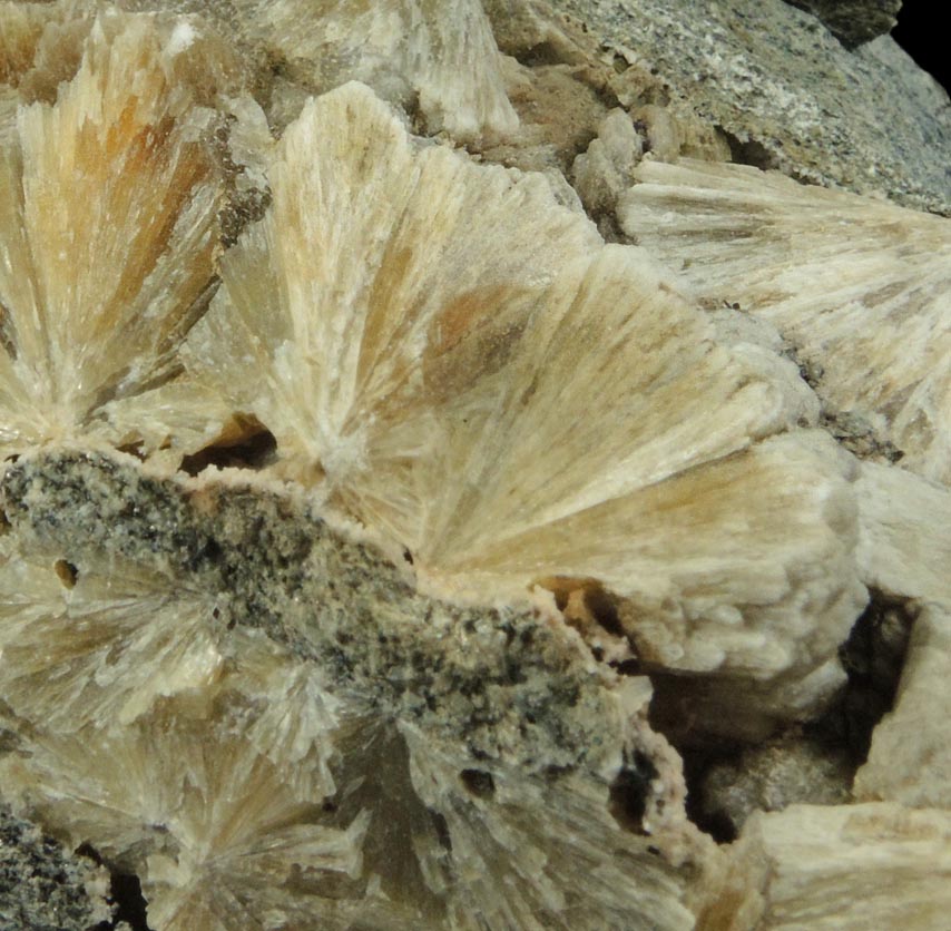 Detail view of mineral Pyrite and Stilbite-Ca in Calcite-filled vein for sale from Harlem Meer, in the northeast corner of Central Park, New York City, New York County, New York