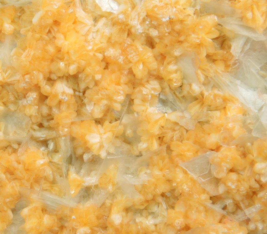 Detail view of mineral Stilbite-Ca and Calcite for sale from Water Tunnel No.3 under Roosevelt Island, New York City, New York County, New York