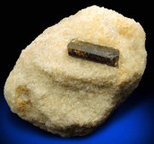 Dravite-Uvite Tourmaline in Inwood Marble for sale from Marble Hill, Manhattan Island, New York City, New York County, New York