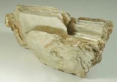 Muscovite for sale from Harlem Meer, in the northeast corner of Central Park, New York City, New York County, New York