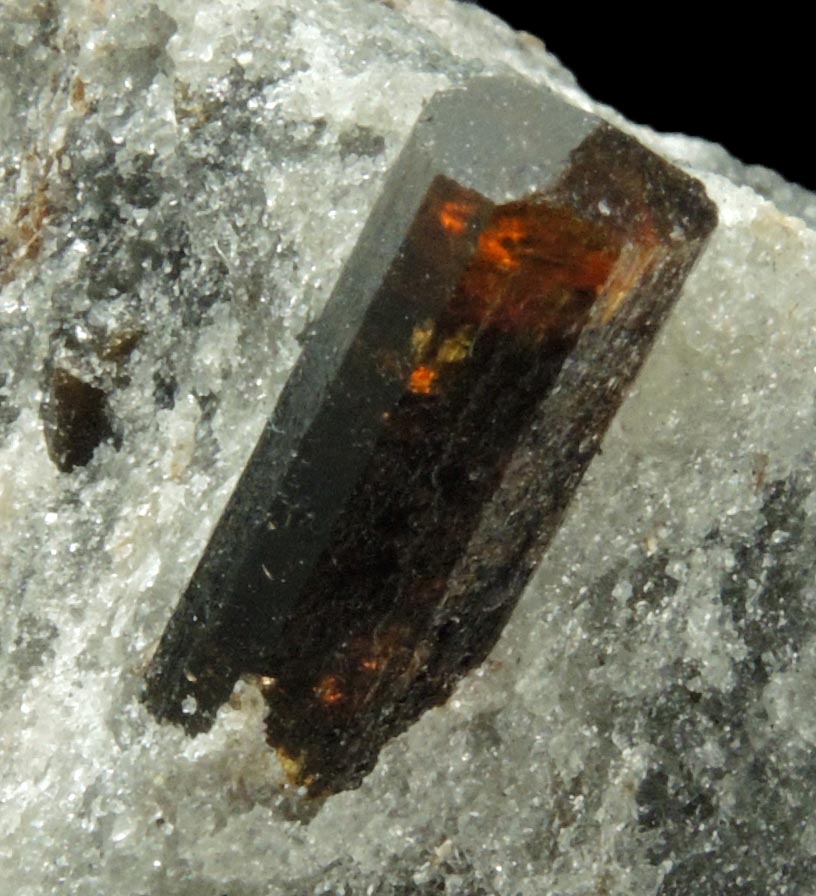 Detail view of mineral Dravite-Uvite Tourmaline in Inwood Marble (best of find) for sale from Harlem Ship Canal excavation, norther Manhattan Island, New York City, New York County, New York