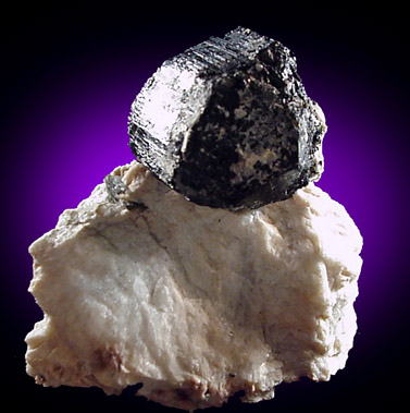Mineral Specimens: Schorl Tourmaline from N. spur of Long Hill, Haddam, Connecticut