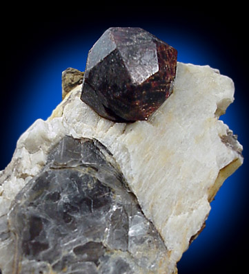 Mineral Specimens: Almandine Garnet in Albite from Power Line Quarries, Topsham, Maine