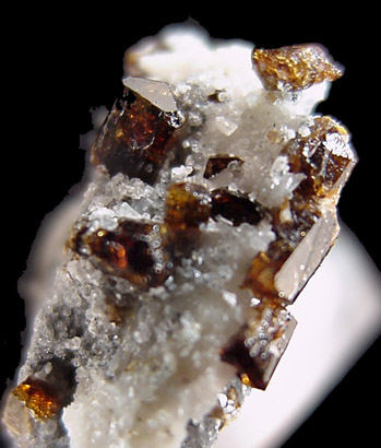 Mineral Specimens: Uvite / Dravite Tourmaline from Inwood Hill Park, Manhattan Island, New York City, New York