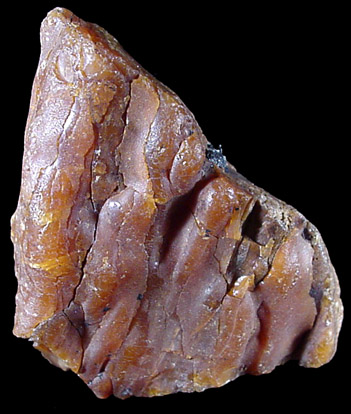 Mineral Specimens: Amber from Clay pits, Sayreville, New Jersey