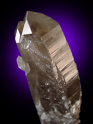 Mineral Specimens: Quartz var. Smoky from Peter's Pocket, N. Moat Mt., Bartlett, New Hampshire