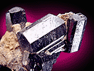 Mineral specimen: Schorl, terminated crystals from Harvard Quarry, Greenwood, Maine.