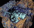 Mineral specimen: Azurite from Phelps Dodge Morenci Mine, Morenci, Arizona.