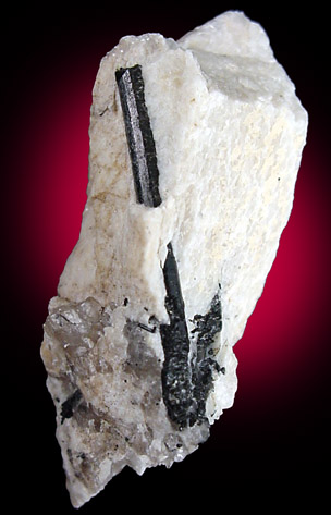 Mineral Specimens: Schorl in Albite from La Flamme Quarry, Minot, Maine