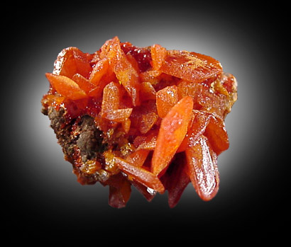 Wulfenite from Red Cloud Mine, Silver District, La Paz County, Arizona