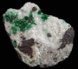 Silver on Malachite and Chrysocolla from Tsumeb Mine, Otavi-Bergland District, Oshikoto, Namibia