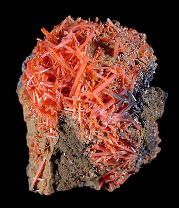 Crocoite from Red Lead Mine, Dundas, Tasmania, Australia