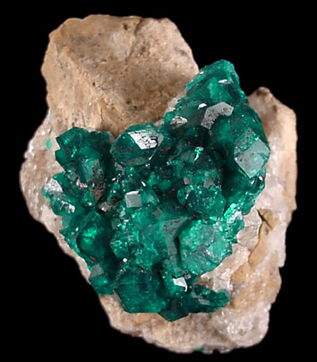 Dioptase from Altyn-Tyube, 66 km east of Karagandy, Karaganda Oblast', Kazakhstan (Type Locality for Dioptase)