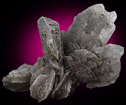 Gypsum var. Selenite from St. Mary's, Maryland