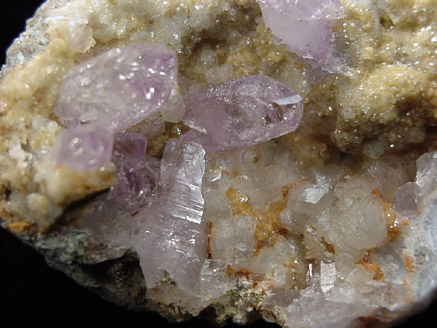 Quartz var. Amethyst from Osilo, Sassari, Sardinia, Italy