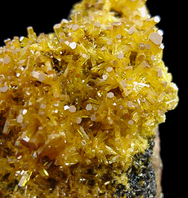 Mimetite on Cesarolite from Guatomo Mine, near Tham Thalu, south of Hat Yai, Yala Province, Thailand