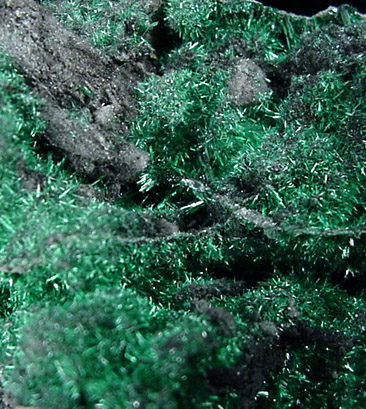 Malachite from Tsumeb Mine, Otavi-Bergland District, Oshikoto, Namibia