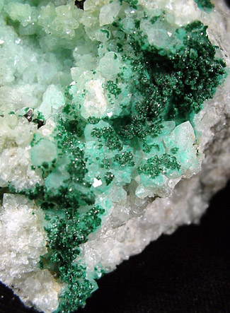 Chrysocolla on Quartz with Malachite from Lubumbashi, Katanga Copperbelt, Haut-Katanga Province, Democratic Republic of the Congo