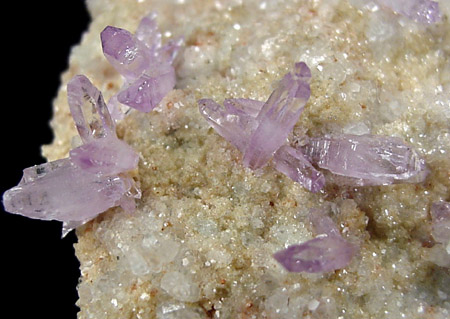 Quartz var. Amethyst from Osilo, Sassari, Sardinia, Italy