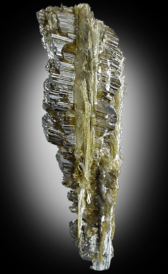 Epidote from Tormiq area, northwest of Skardu, Haramosh Mountains, Baltistan, Gilgit-Baltistan, Pakistan