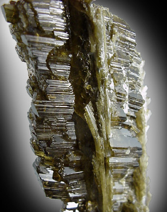 Epidote from Tormiq area, northwest of Skardu, Haramosh Mountains, Baltistan, Gilgit-Baltistan, Pakistan