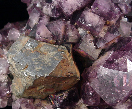 Fluorite with Galena from Frazer's Hush Mine, Rookhope, Weardale, County Durham, England