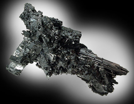 Schorl Tourmaline on Quartz from Cruzeiro Mine, Minas Gerais, Brazil