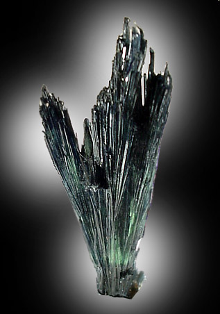 Vivianite from Huanuni Mine, Oruro, Bolivia