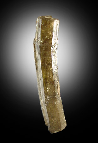 Elbaite Tourmaline, curved crystal from Minas Gerais, Brazil