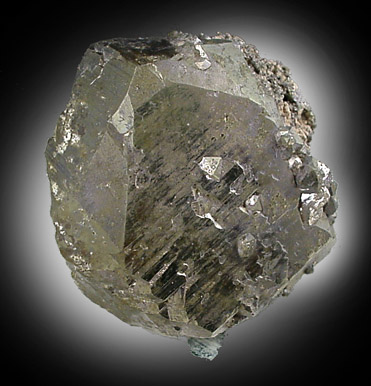 Pyrite var. Bravoite from Rico Argentina Mine, Rico, Colorado