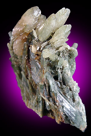 Titanite on Actinolite from Tormiq area, northwest of Skardu, Haramosh Mountains, Baltistan, Gilgit-Baltistan, Pakistan