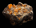 Wulfenite from Red Cloud Mine, Yuma, Arizona