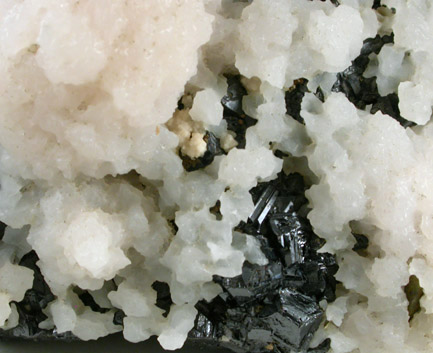 Calcite on Sphalerite from Naica District, Saucillo, Chihuahua, Mexico