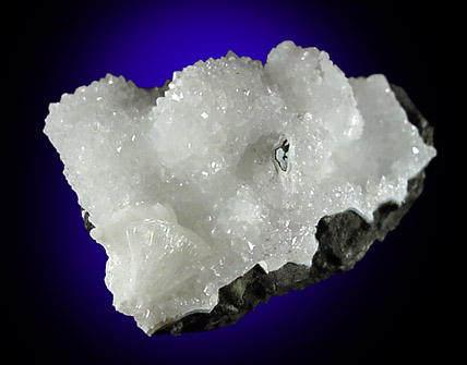 Goosecreekite from Jalgaon, Maharashtra, India