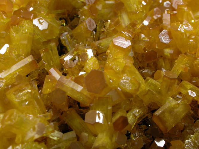 Mimetite on Cesarolite from Guatomo Mine, near Tham Thalu, south of Hat Yai, Yala Province, Thailand