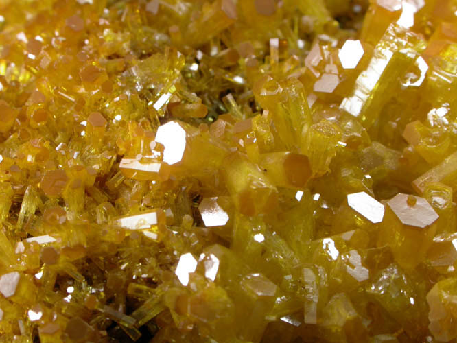 Mimetite on Cesarolite from Guatomo Mine, near Tham Thalu, south of Hat Yai, Yala Province, Thailand