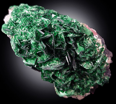 Torbernite from Shinkolobwe Mine, 22 km WSW of Likasi, Katanga Copperbelt, Haut-Katanga Province, Democratic Republic of the Congo