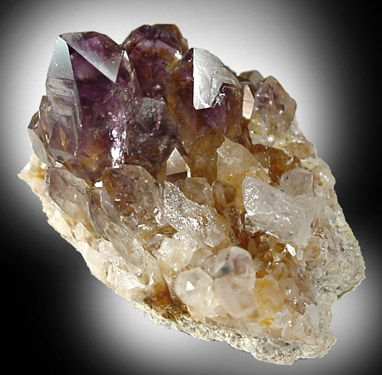 Quartz var. Amethyst from Kidder Lane east of Woodland Road, Southborough, Worcester County, Massachusetts