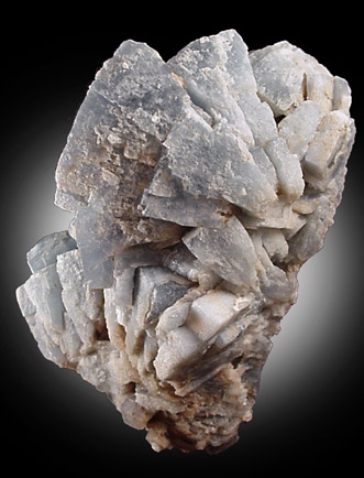 Celestine from Austin, Travis County, Texas