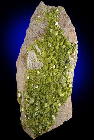 Autunite from Autun, Saone-et-Loire, France