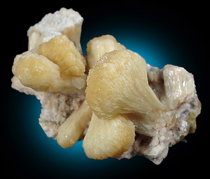 Stilbite from Bay of Fundy, Nova Scotia, Canada