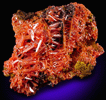 Crocoite from Red Lead Mine, Dundas, Tasmania, Australia