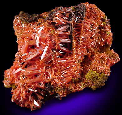 Crocoite from Red Lead Mine, Dundas, Tasmania, Australia