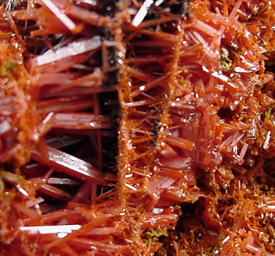 Crocoite from Red Lead Mine, Dundas, Tasmania, Australia