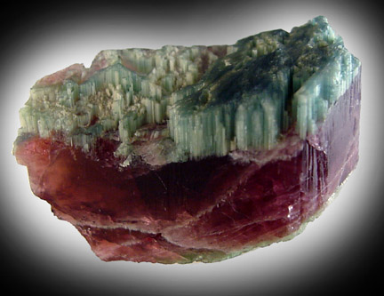 Elbaite Tourmaline from Dunton Quarry, Plumbago Mountain, Hall's Ridge, Newry, Oxford County, Maine