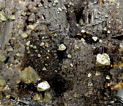 Sphalerite with Chalcopyrite from Ballard Mine, Baxter Springs, Kansas