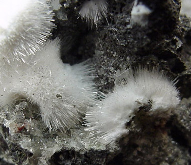 Natrolite from Millington Quarry, Bernards Township, Somerset County, New Jersey