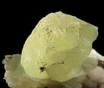 Prehnite on Pectolite from Millington Quarry, Bernards Township, Somerset County, New Jersey